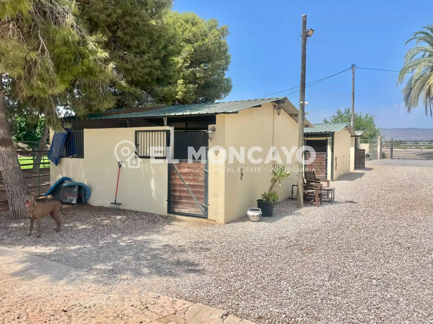 Casa con piscina en venta en Dolores, imagen 35
