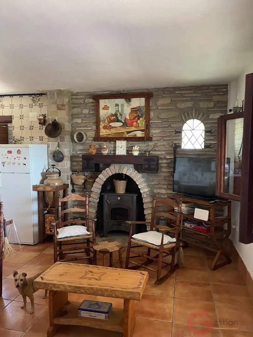 Sala de estar de Finca rústica en venta en Salobreña con Terraza y Piscina