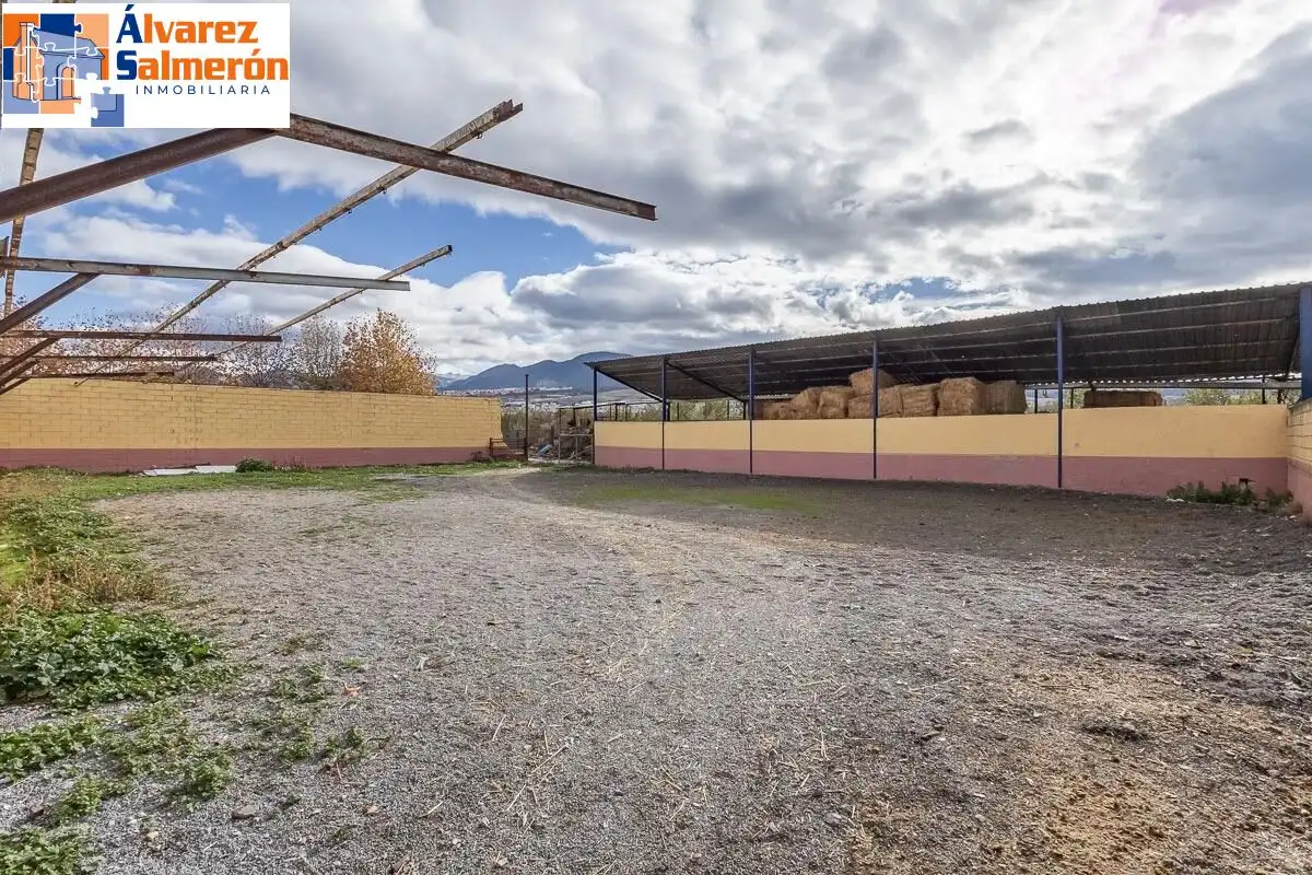 Vista exterior de Casa o xalet en venda en La Zubia amb Jardí privat