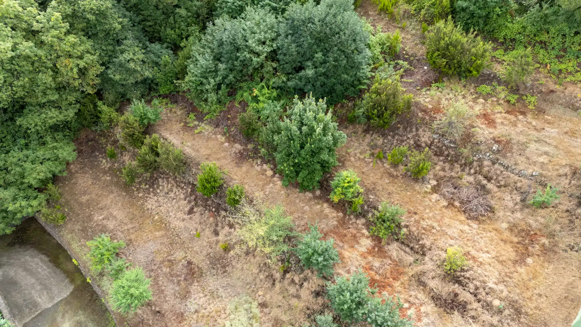 Finca rústica en venta en Calle de El Balayo, La Perdoma - San Antonio - Benijos