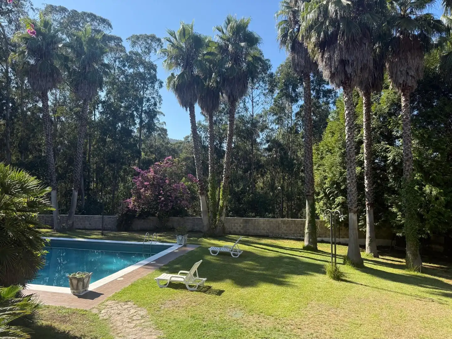 Casa amb terrassa en venda a Vía pública LG FEIRA-CAUSO, imagen 45