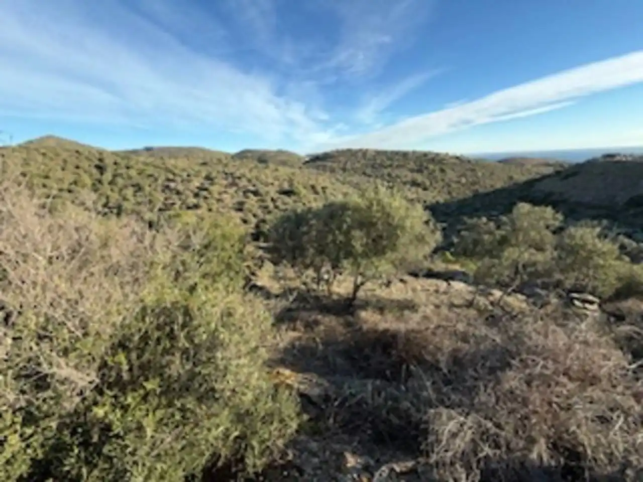 Rural land for sale in Cadaqués, imagen 4