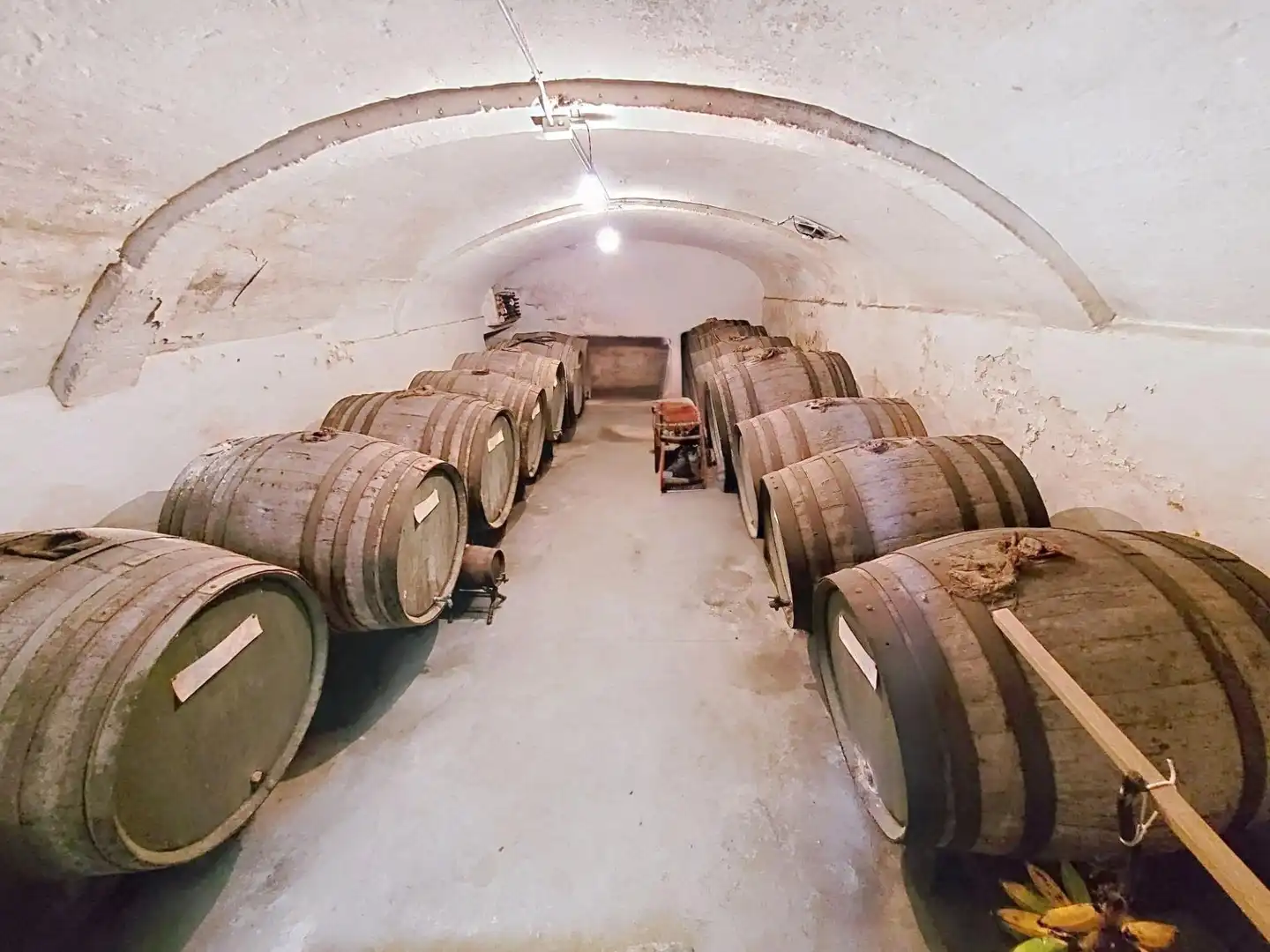 Vista exterior de Finca rústica en venda en Maó - Mahón amb Aire condicionat, Calefacció i Terrassa
