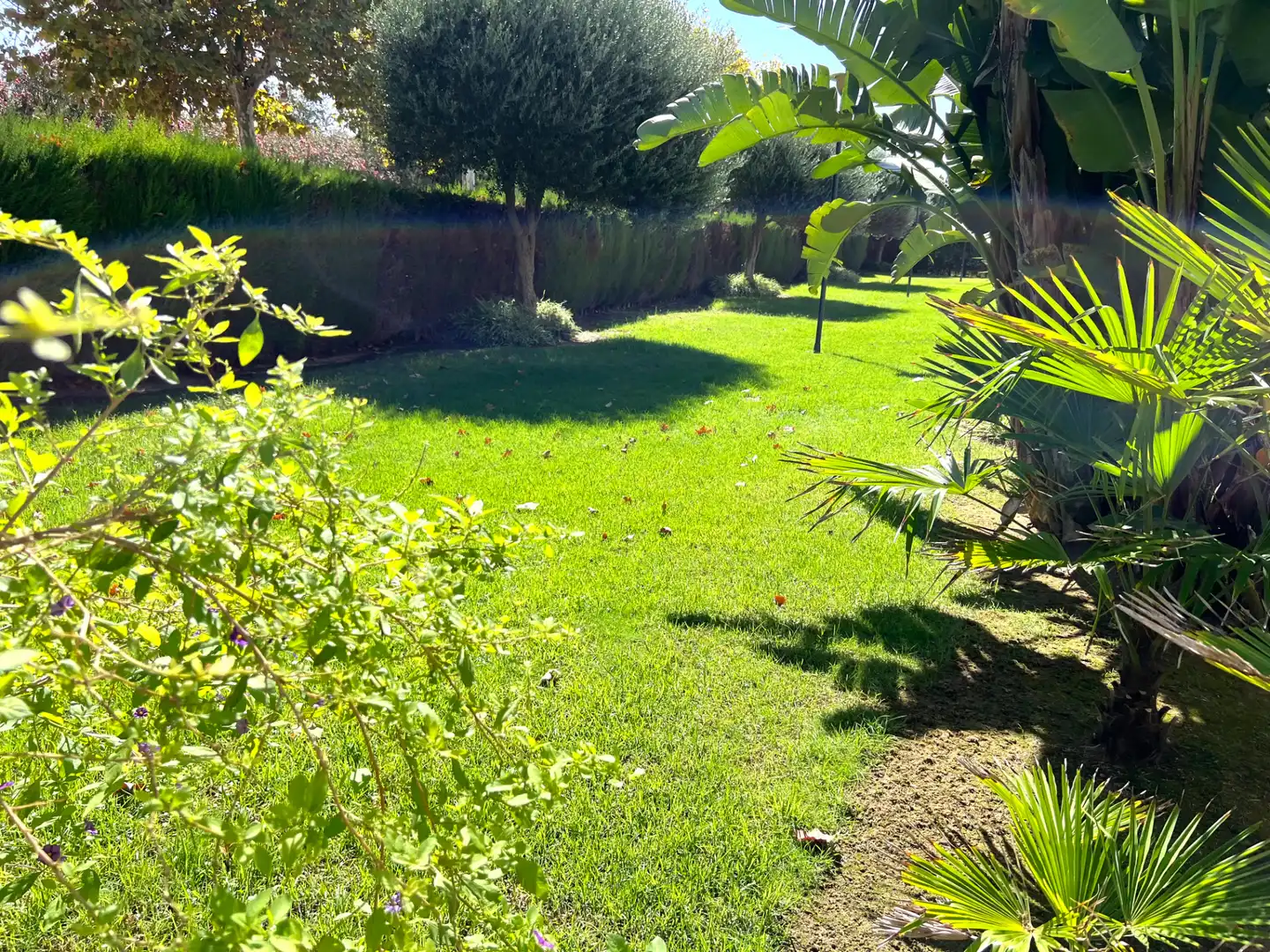 Garden of Flat for sale in Costa Ballena Golf