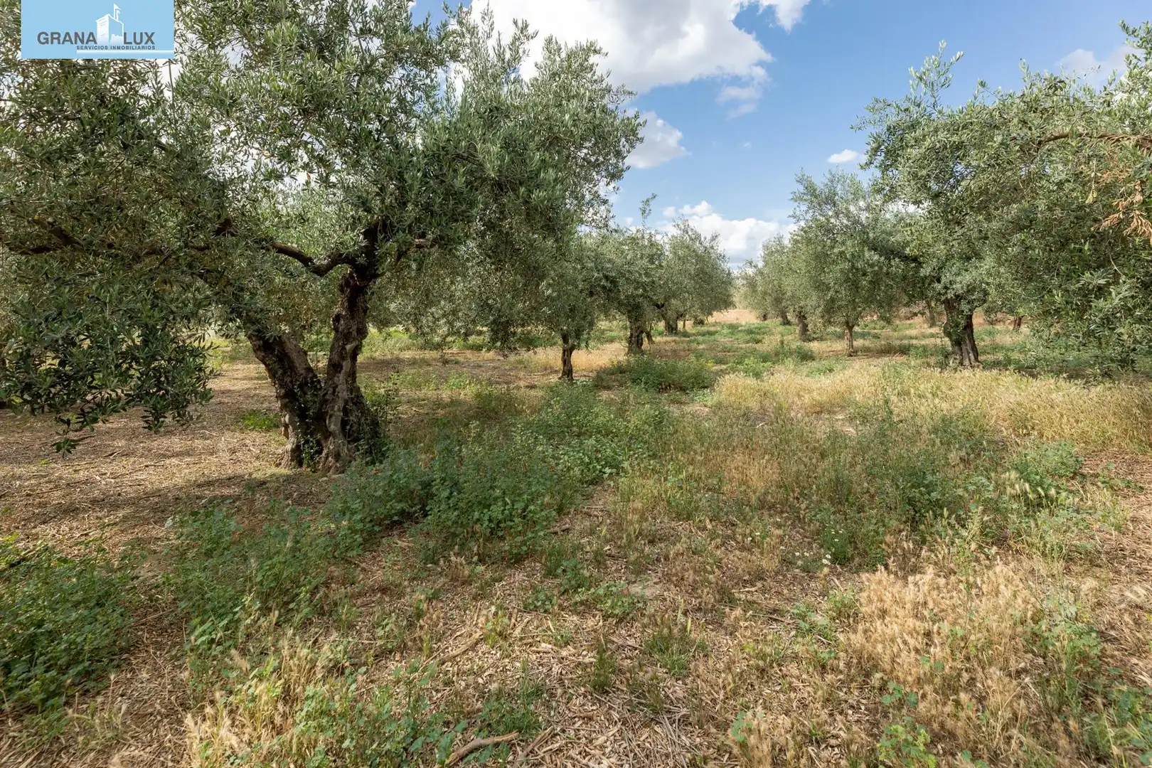 Terreno rustico in vendita a Calle POL 1, PARC 176, imagen 7
