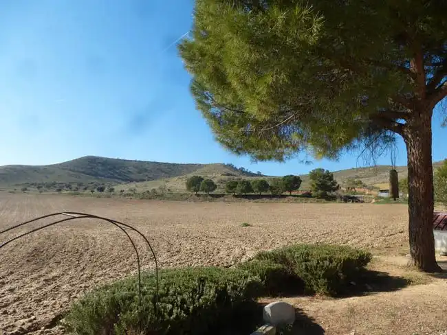 Terreny en venda en La Puebla de Montalbán