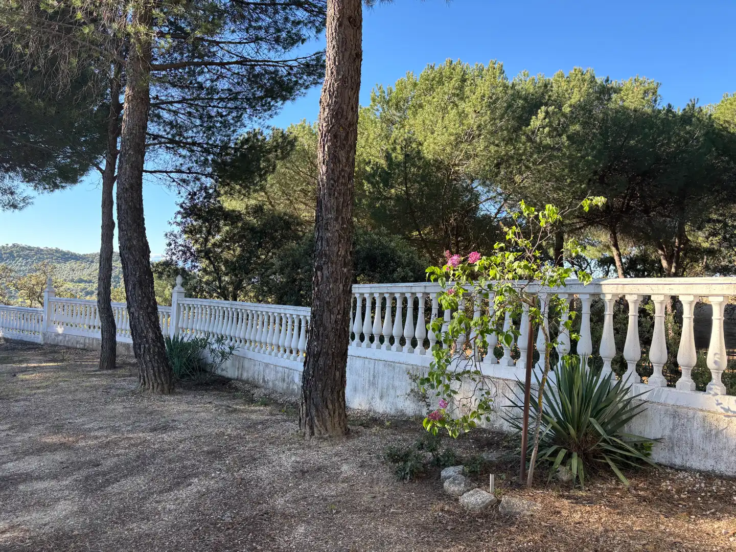 Jardín de Finca rústica en venta en Andújar con Aire acondicionado, Terraza y Piscina