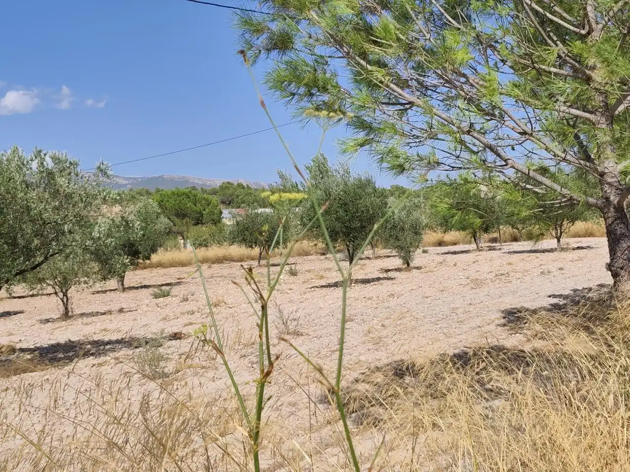 Terreno rustico in vendita a Castalla, imagen 3