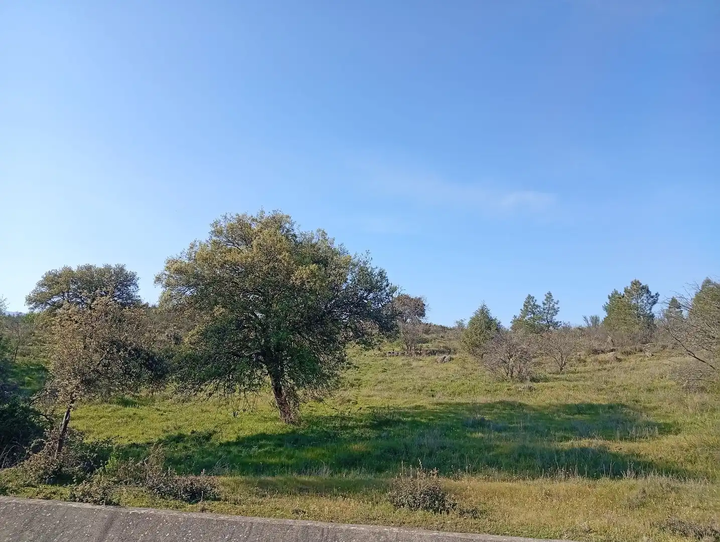 Terreni e lotti in vendita a Villanueva de la Vera, imagen 5