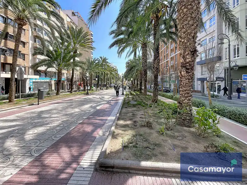Exterior view of Office for rent in Alicante / Alacant