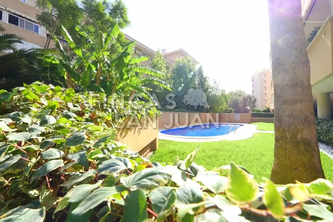 Piso con piscina en venta en Centro, imagen 33
