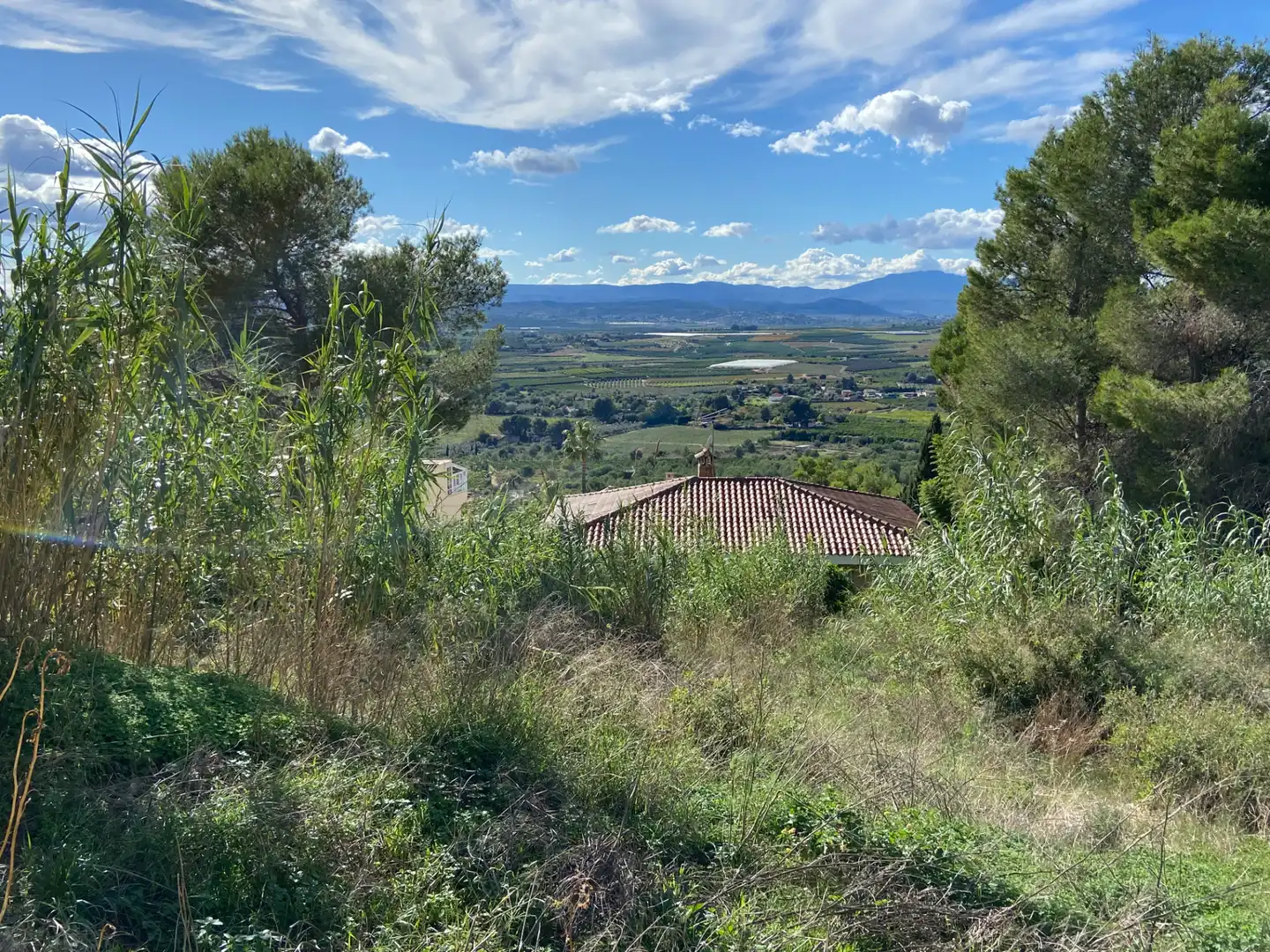 Terreny residencial en venda a Calle Españoleto, imagen 10