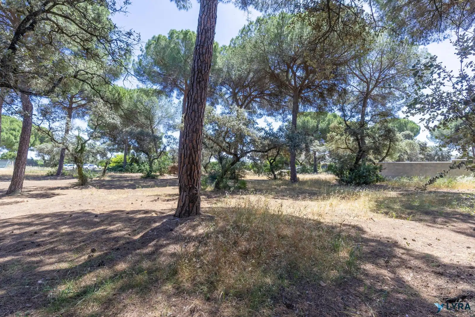 Residencial en venta en Calle romero, 10, Bollullos de la Mitación