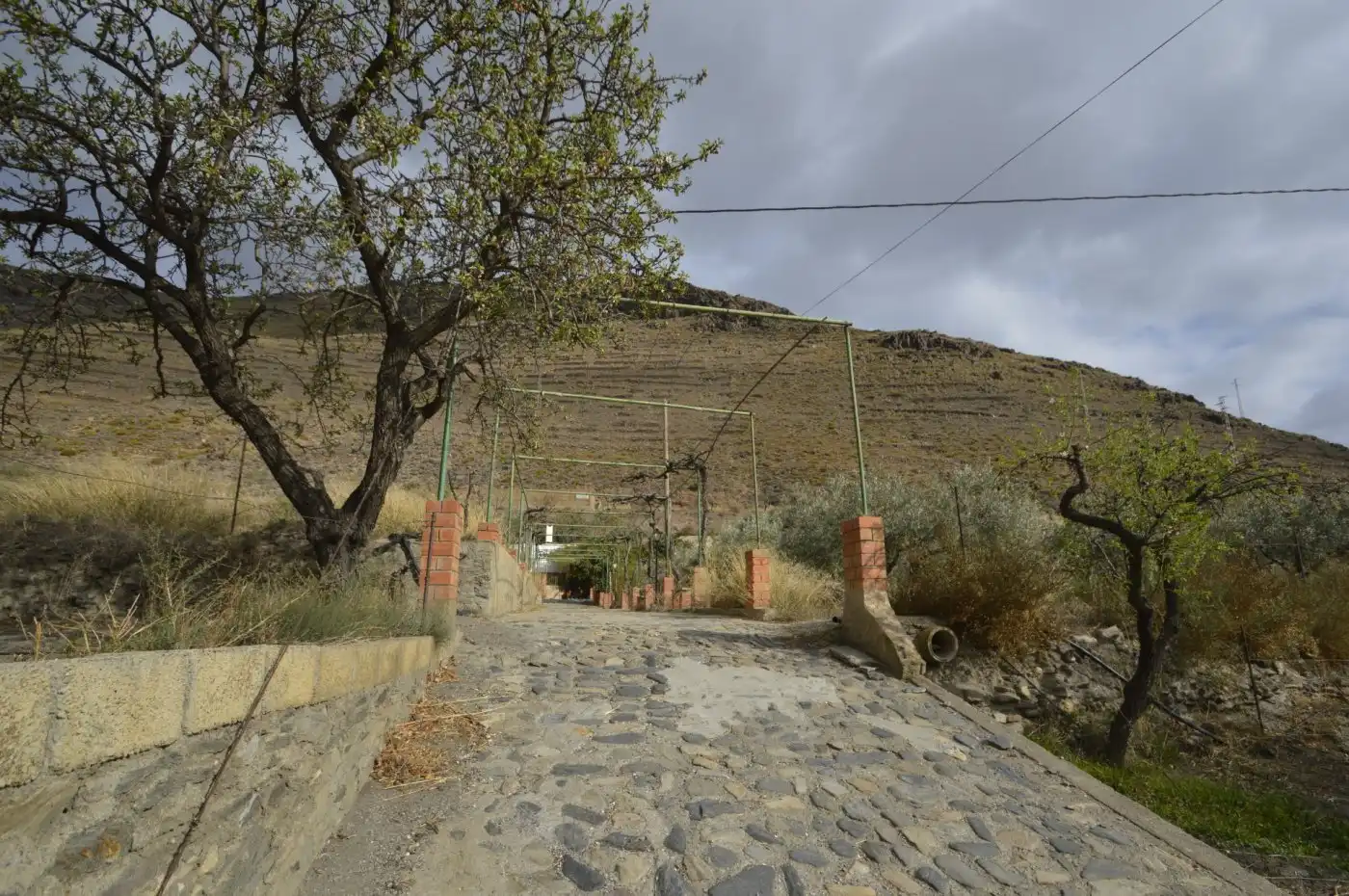 Finca rústica en venta en Gérgal