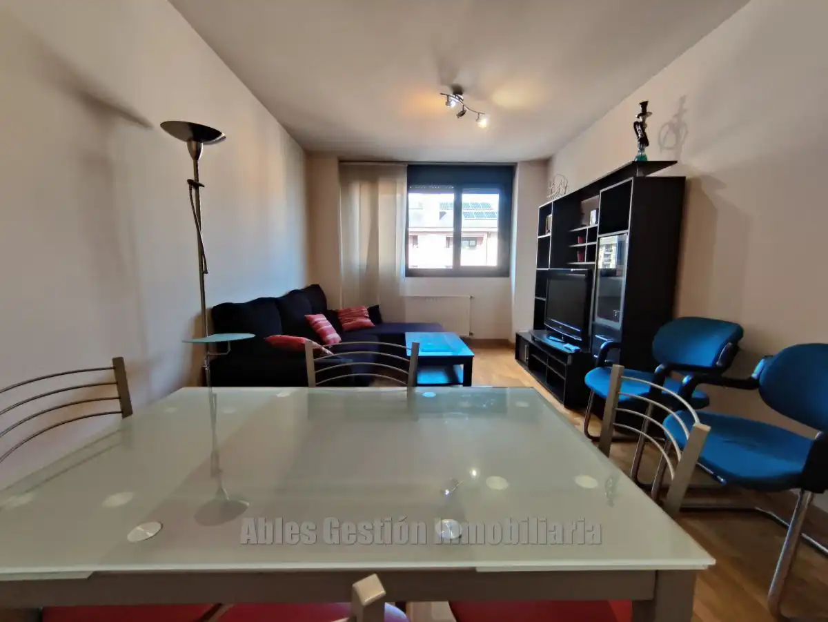 Sala de estar de Piso de alquiler en Oviedo  con Calefacción y Terraza