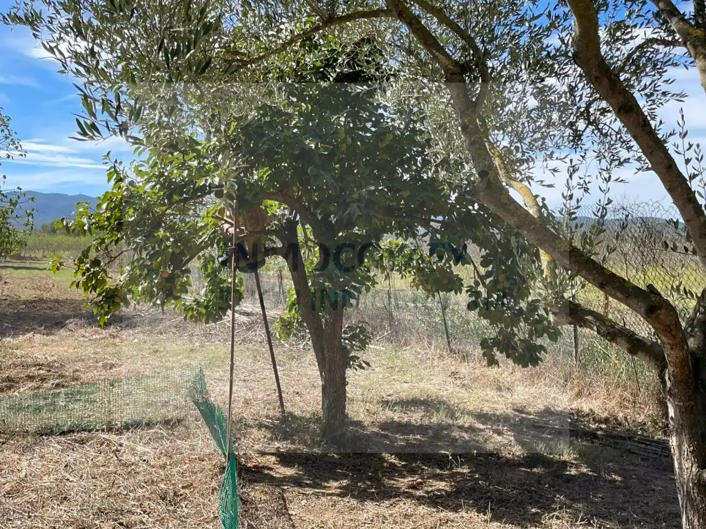 Rural land for sale in Calle Bordeta, imagen 13