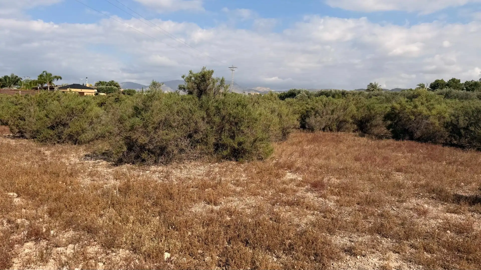 Residencial en venda en Elche / Elx