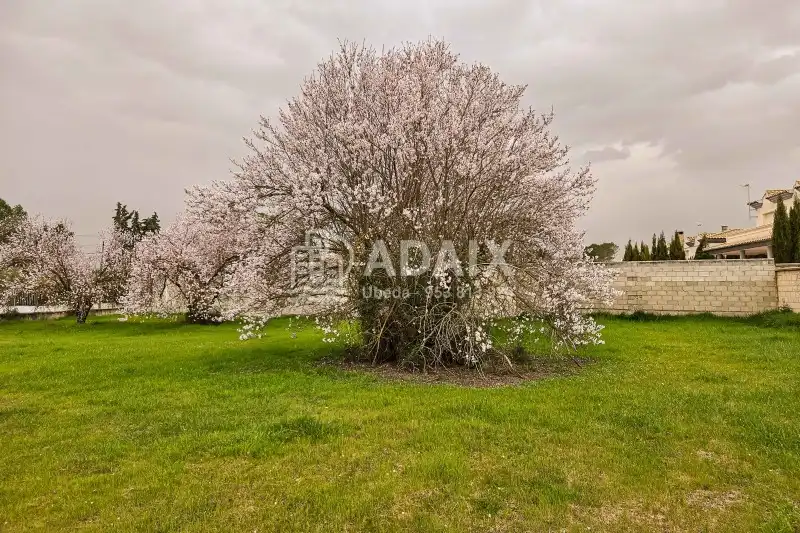 Jardín de Residencial en venta en Úbeda
