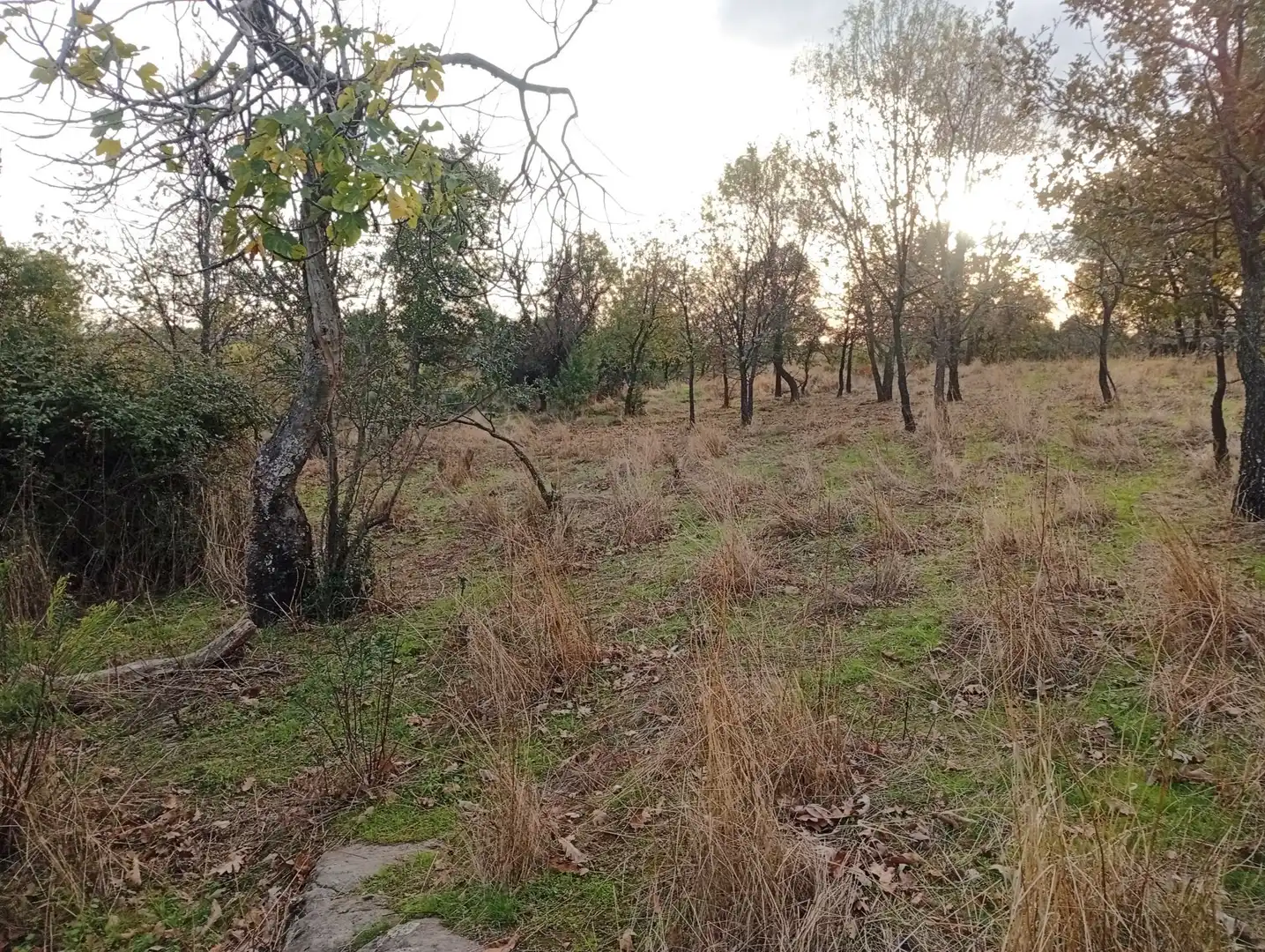 Terreni e lotti in vendita a Villanueva de la Vera, imagen 11