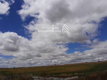 Rural land for sale in Aldealengua