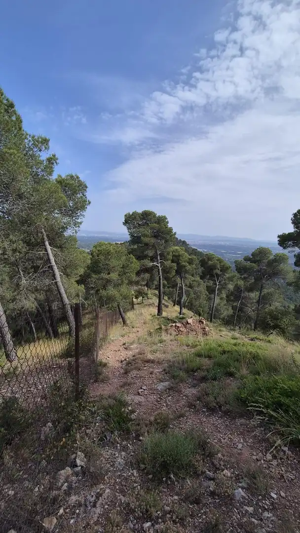 Wohnbaugrundstück zum Verkauf in El Racó - Sant Feliu del Racó, imagen 9