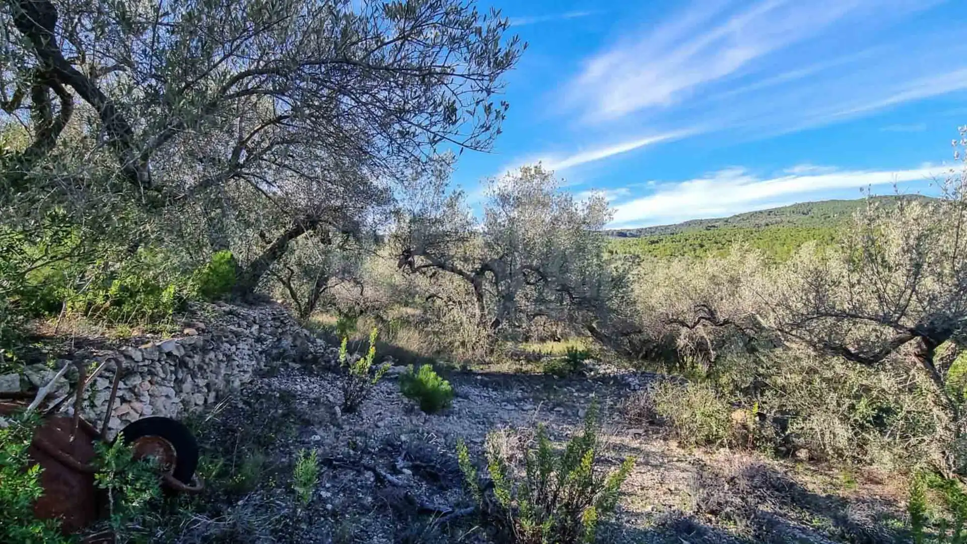 Casa rústica con piscina en venta en El Perelló, imagen 65