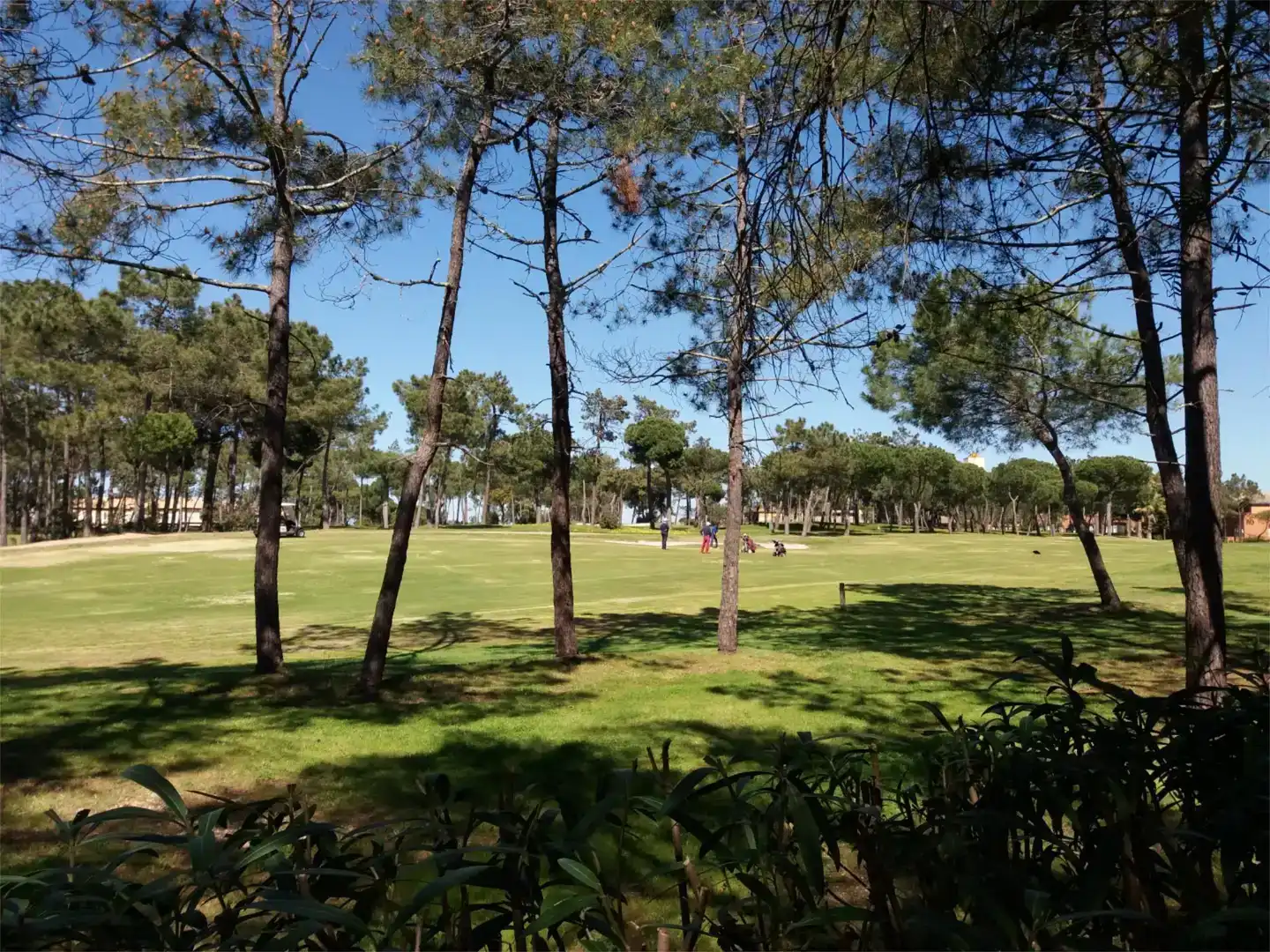Garden of Flat for rent in Islantilla  with Private garden, Furnished and Oven