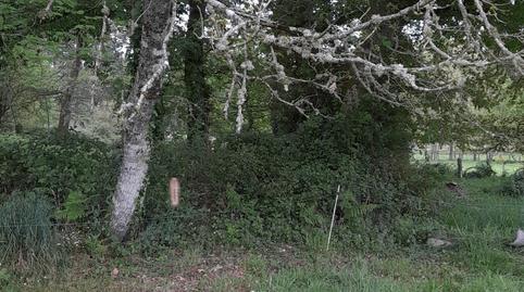 Photo 5 of Country house for sale in Friol, Lugo