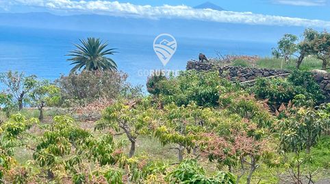 Foto 4 von Grundstücke zum Verkauf in General, Agulo, Santa Cruz de Tenerife