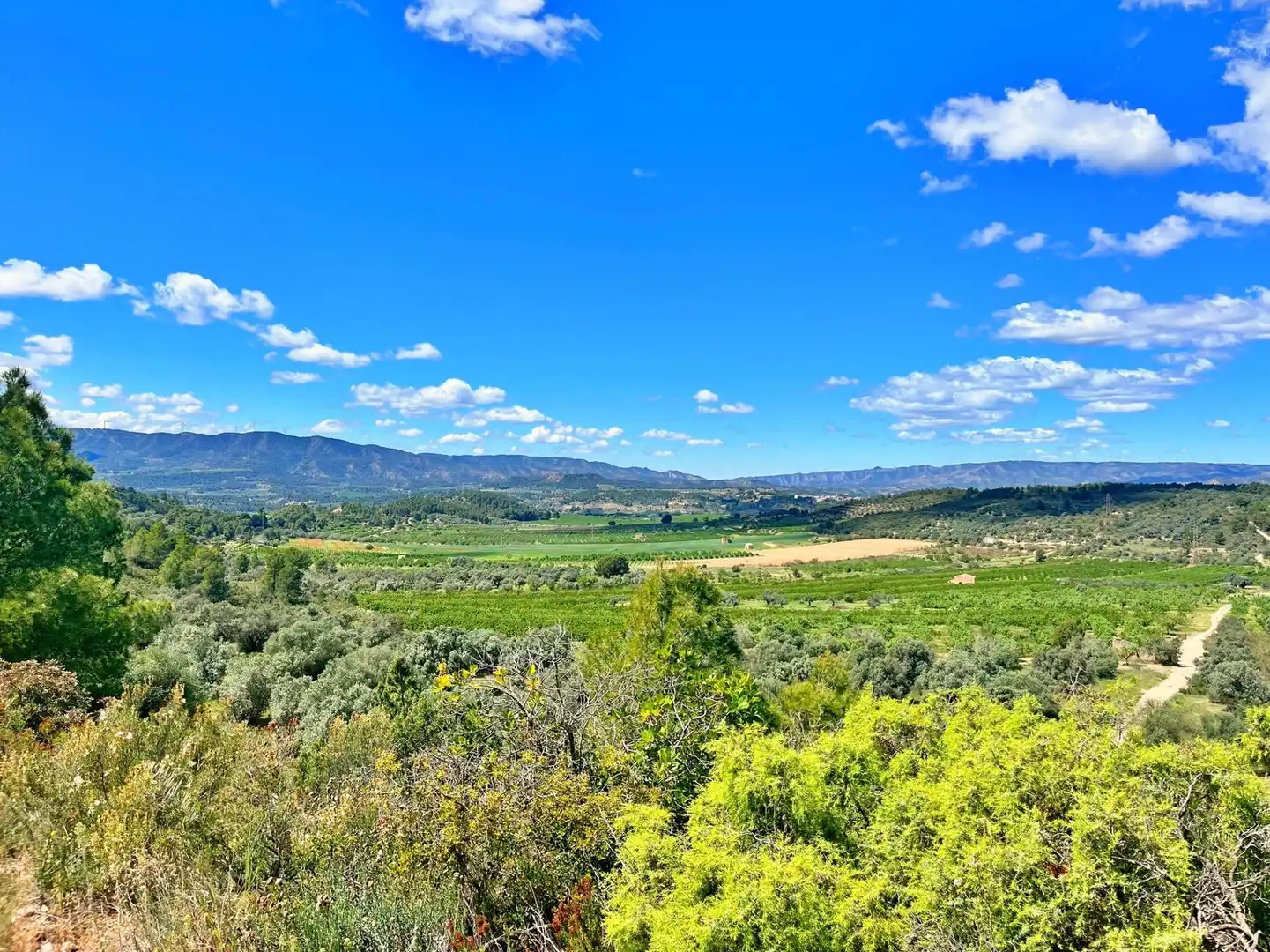 Houses for sale in Flix