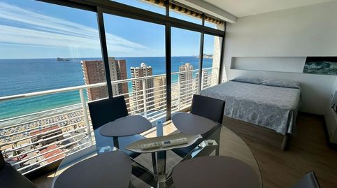 ESTUDIO  BENIDORM PLAYA LEVANTE