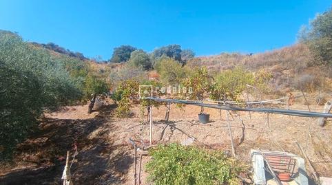 Foto 3 de Residencial en venda a R2, Olías, Málaga