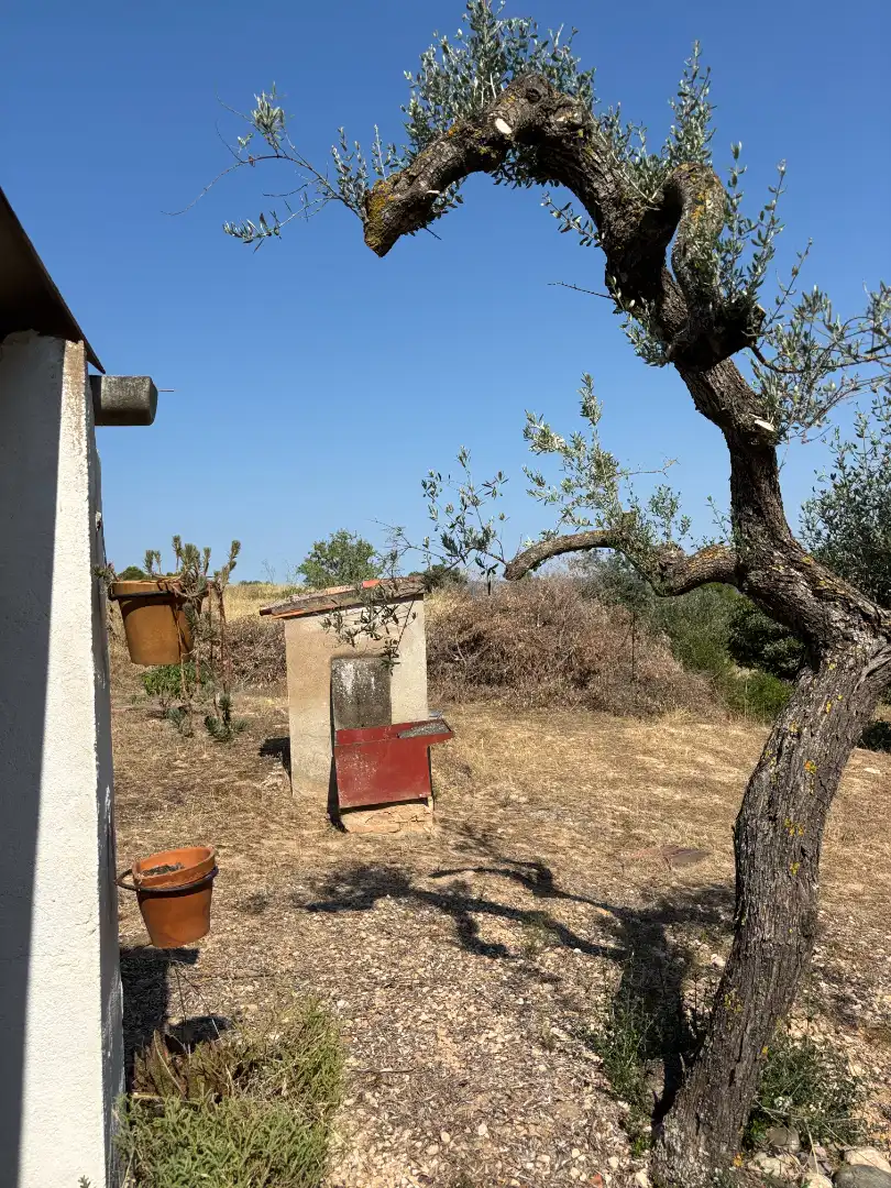Rural land for sale in Carrer de la Muntanya, imagen 47
