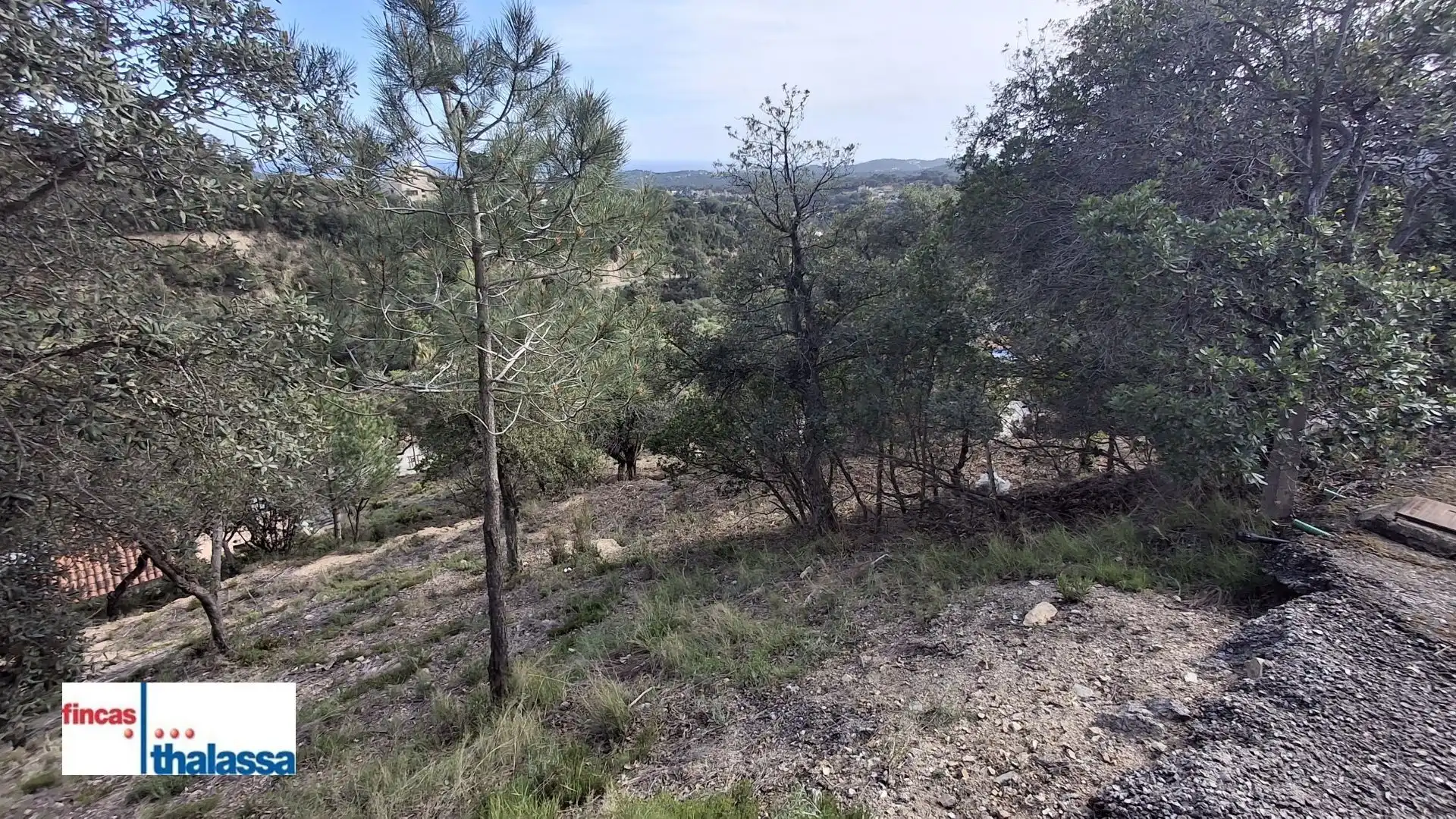 Terrenys i solars en venda a Lloret Verd - Els Pinars, imagen 3