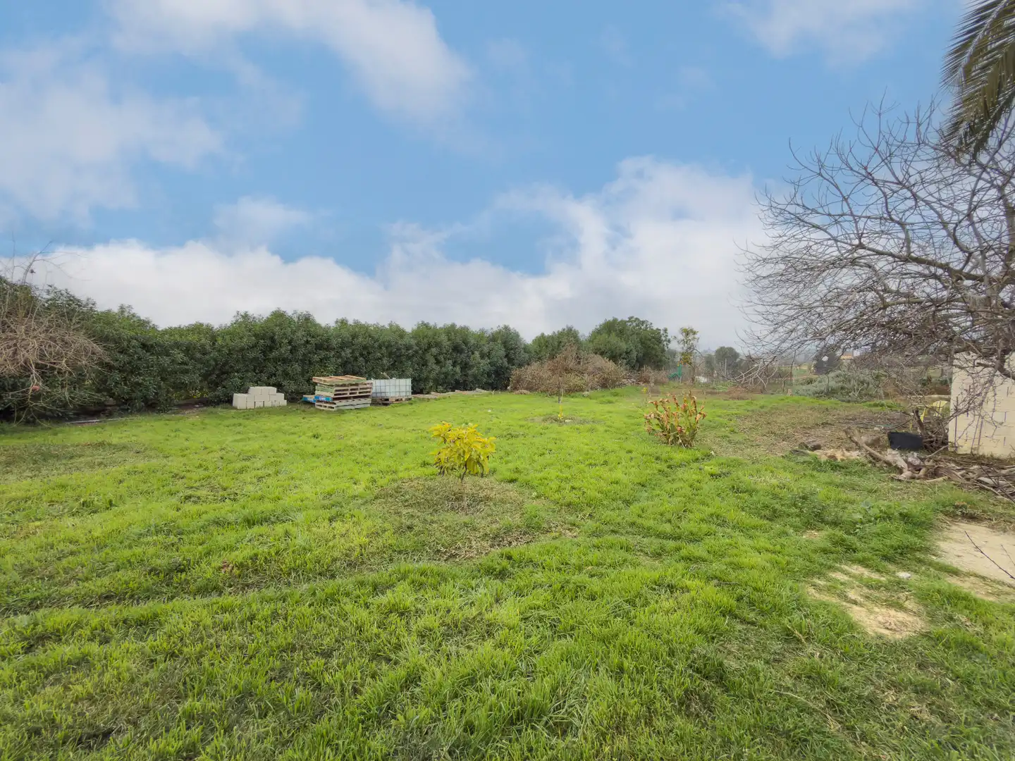 Chalet con piscina en venta en Casalpalma - Fahala, imagen 66