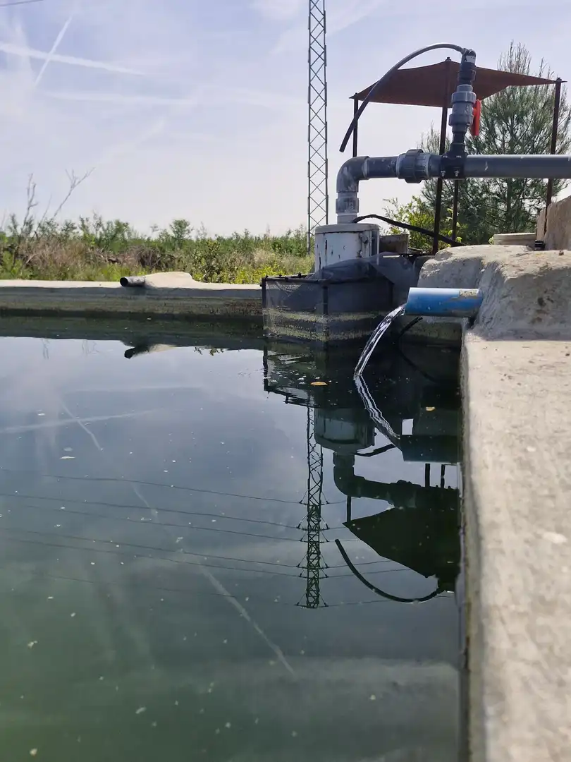 Piscina de Terreno en venta en Alcover