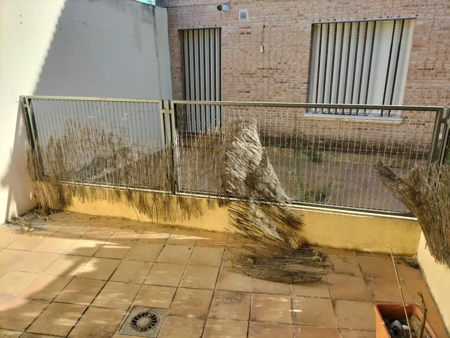 Terrassa de Planta baixa en venda en Navalagamella amb Terrassa i Traster