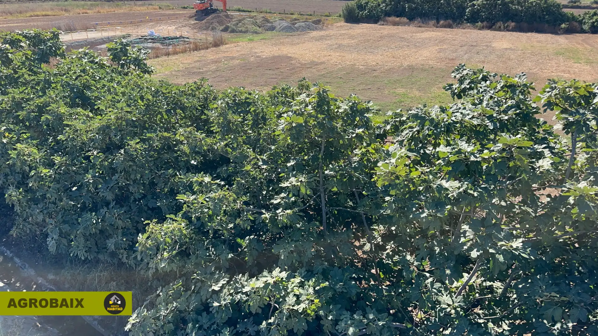 Rural land for sale in BV-2002 114, imagen 8