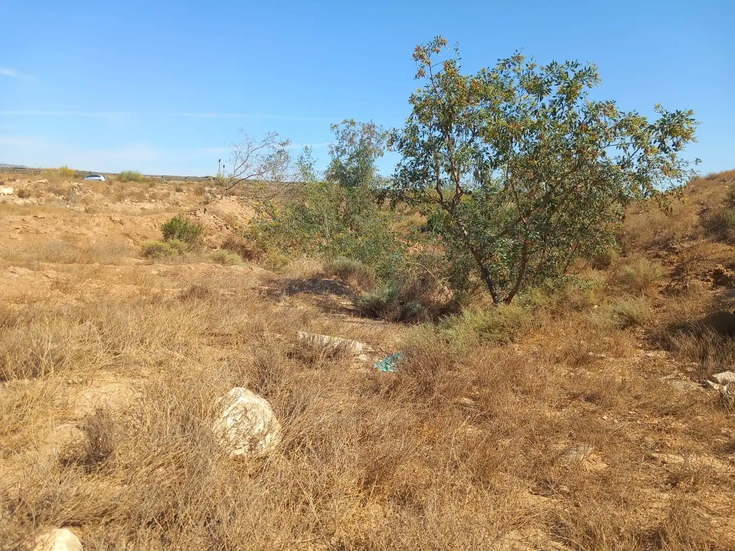 Terreny rústic en venda a San Isidro - Campohermoso, imagen 7