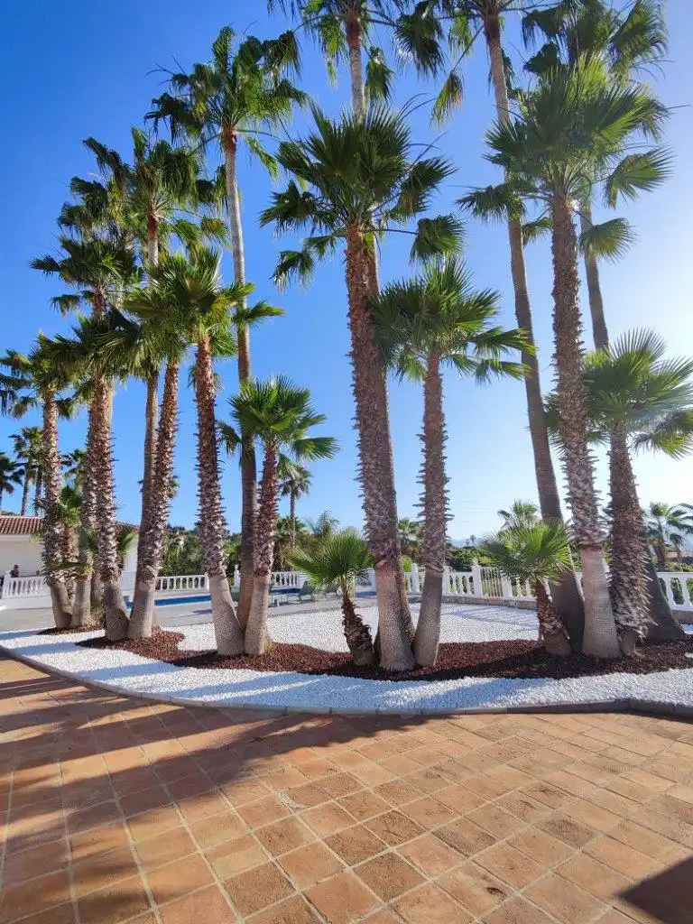 Vista exterior de Casa o chalet en venta en Alhaurín de la Torre con Aire acondicionado, Calefacción y Jardín privado