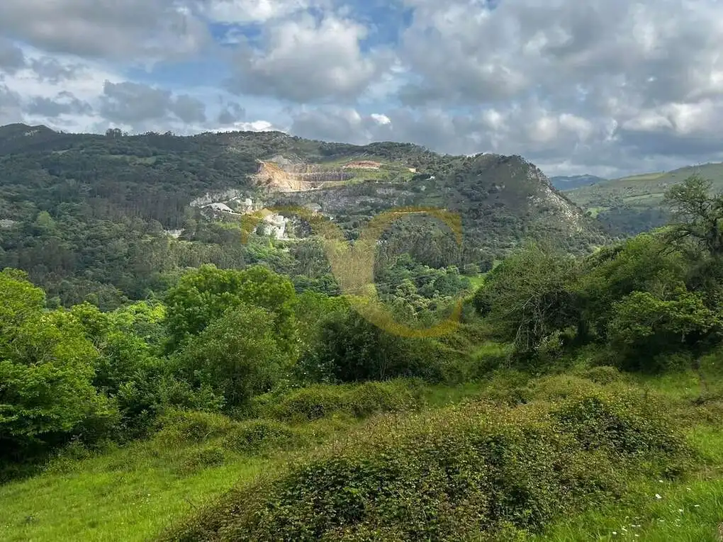 Terreny rústic en venda a Andinas, imagen 9