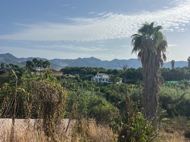Terreno residenziale in vendita a Calle Estornino 45