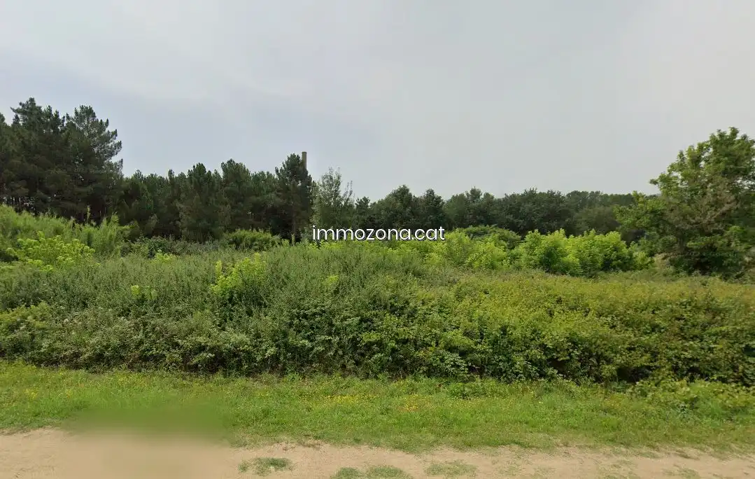 Terreno rústico en venta en Polígono INDUSTRIAL, imagen 4