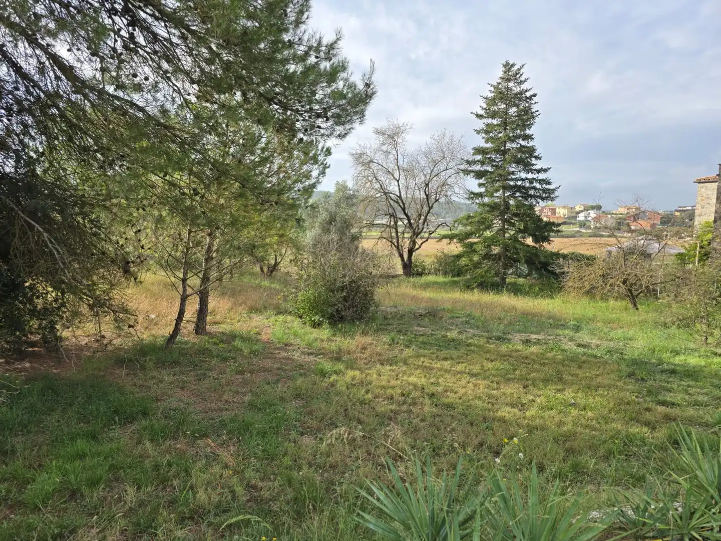 Lands and plots for sale in Carrer Carrer Montcau, imagen 7