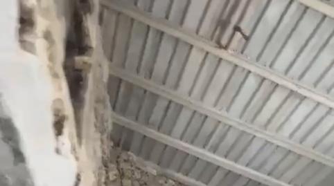 Photo 4 of House or chalet for sale in Carrer de Petra, Sant Joan, Illes Balears