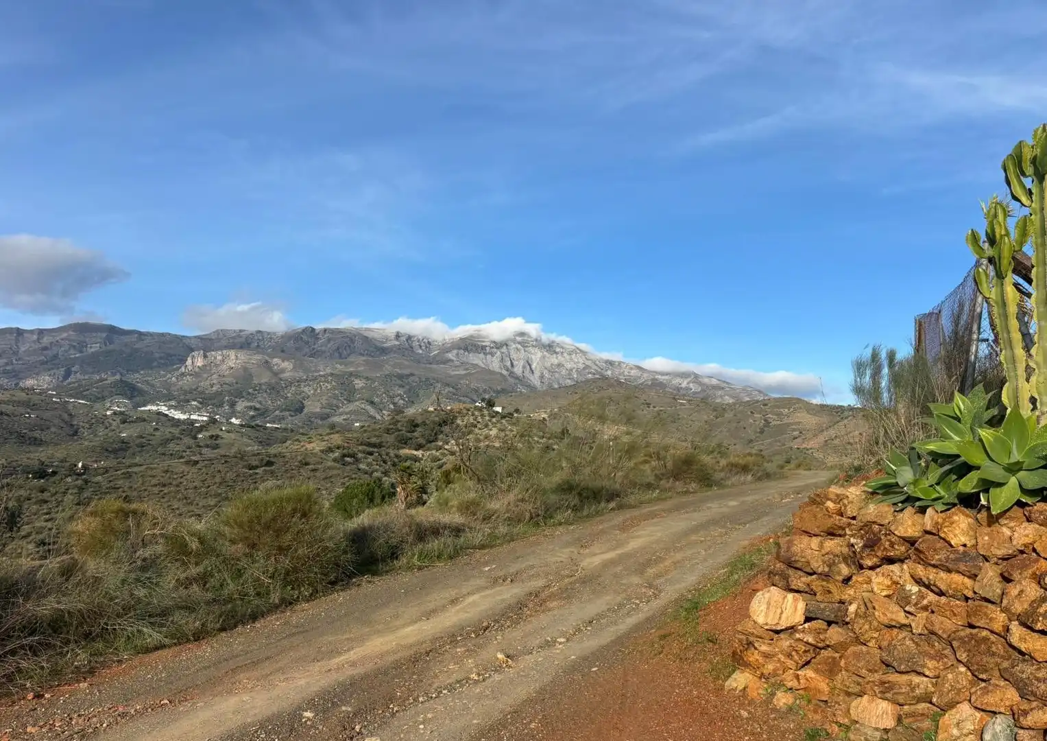 Vista exterior de Finca rústica en venda en Sedella amb Jardí privat, Terrassa i Traster