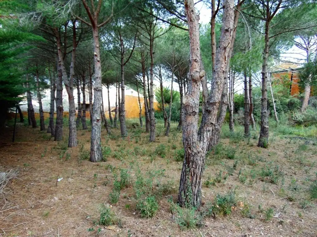 Residential for sale in Calonge i Sant Antoni