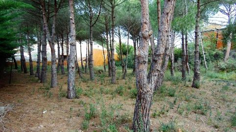 Foto 4 de Residencial en venda a Carrer Alguer, Puig Ses Forques - Torre Colomina, Calonge i Sant Antoni