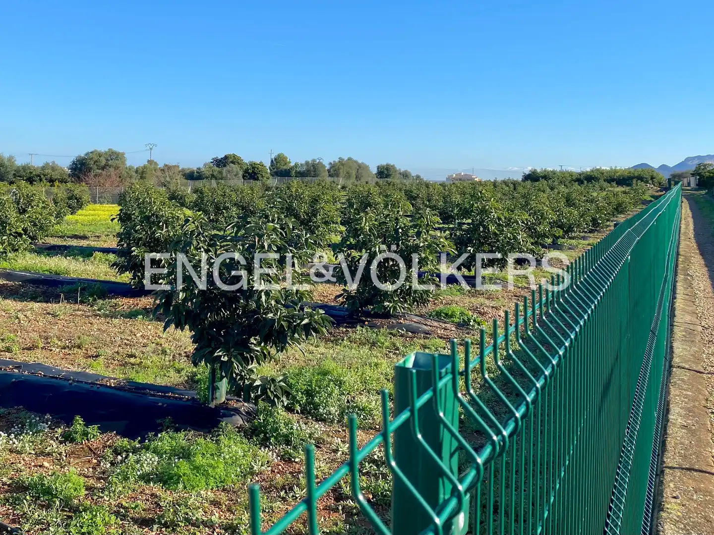 Houses for sale in Benidoleig  with Heating, Private garden and Terrace