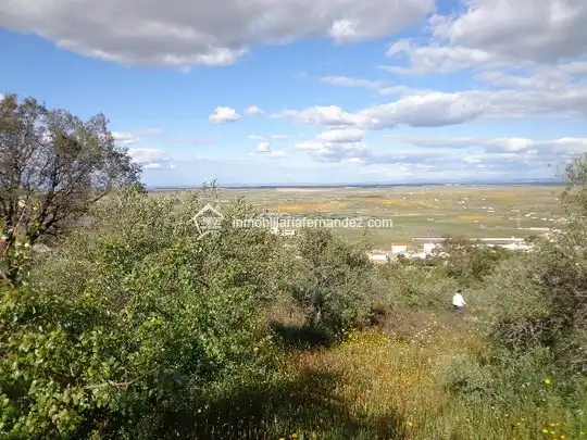 Terreni e lotti in vendita a Sierra de Fuentes, imagen 6
